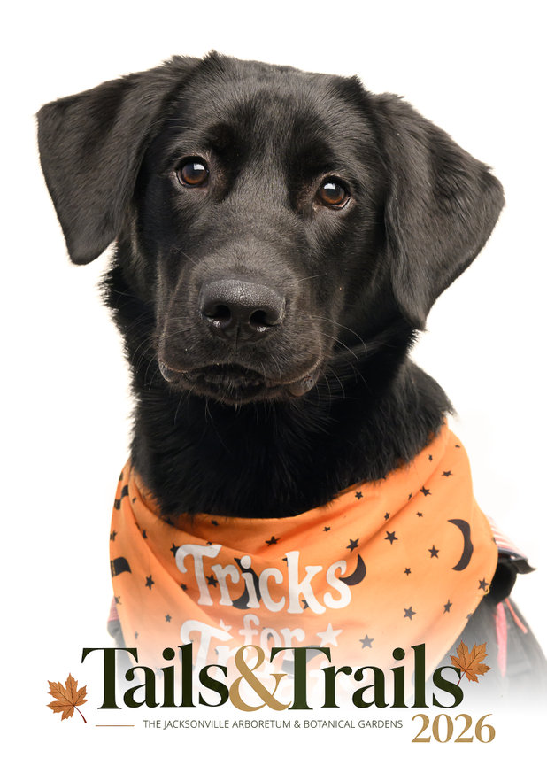 Tails and Trails 2026 dog portrait
