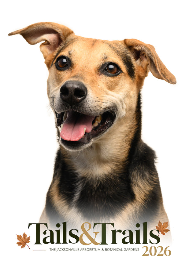 Tails and Trails 2026 dog portrait