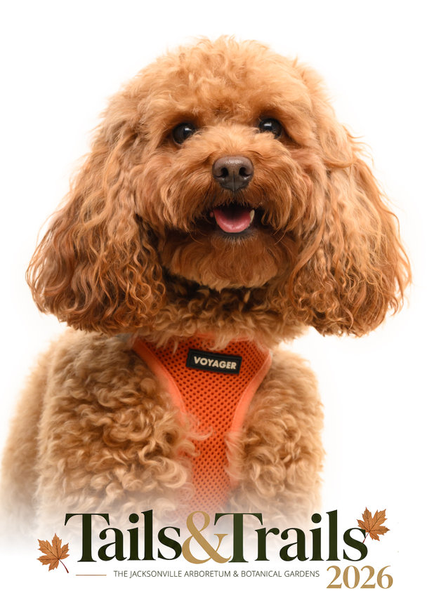 Tails and Trails 2026 dog portrait