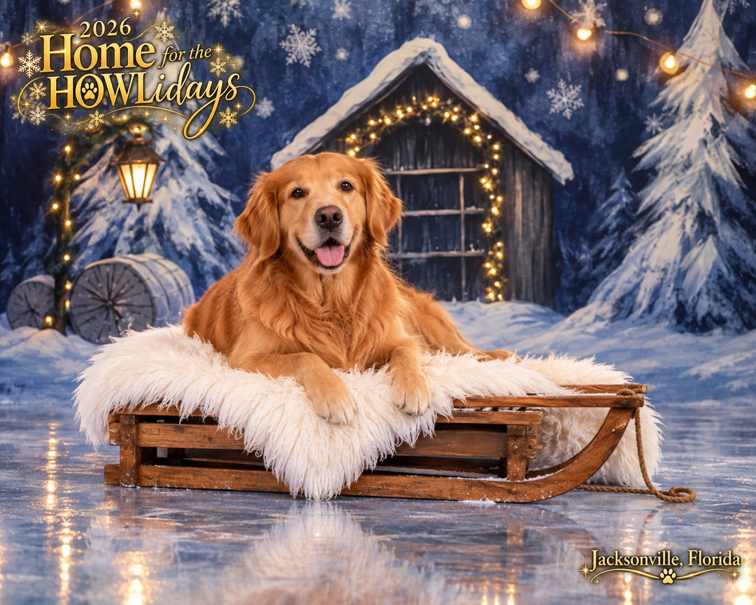 2026 Home for the HOWLidays winter sled pet portrait fundraiser at Jacksonville Humane Society