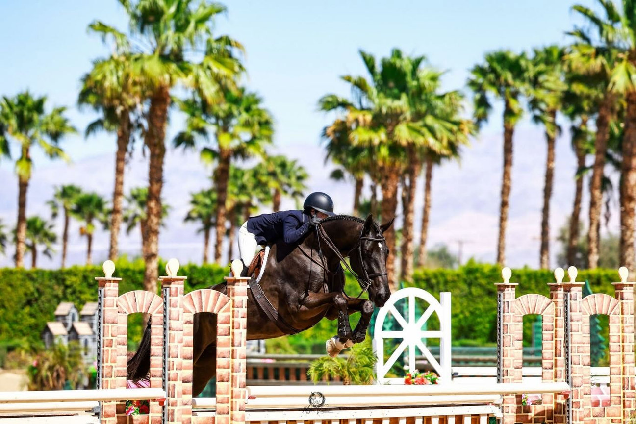 Horse and rider clearing a decorative show jumping fence with palm trees behind them.