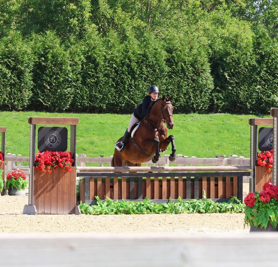 Horse and rider jumping a brick-style obstacle in a show jumping arena.