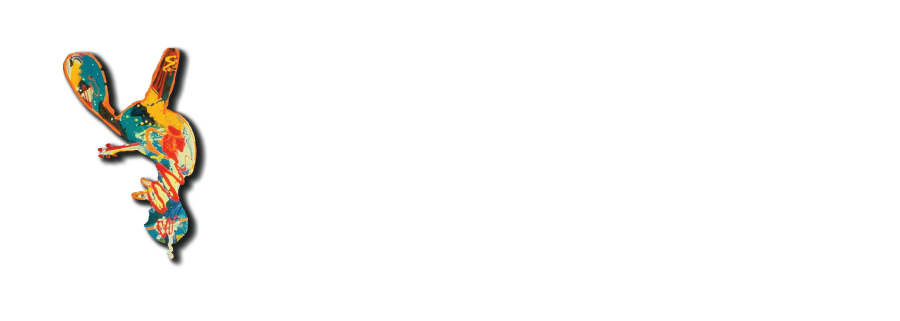 Diane Mazur Logo