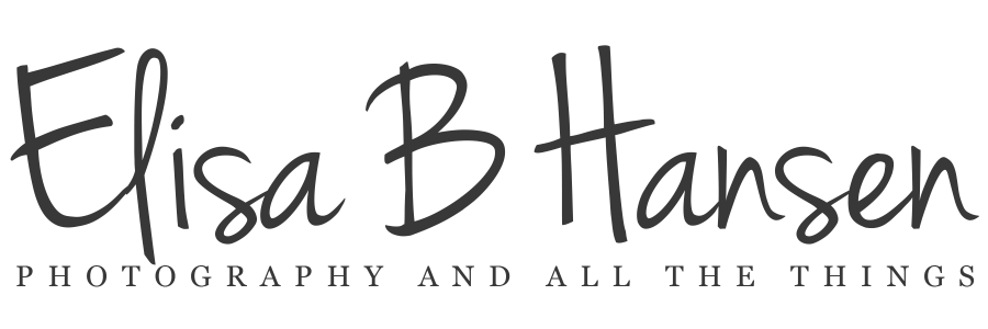 Elisa Hansen Logo