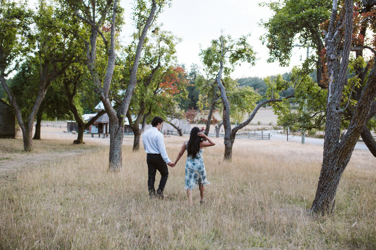 Newly engaged couple walking through an orchard at Ruckle Park
