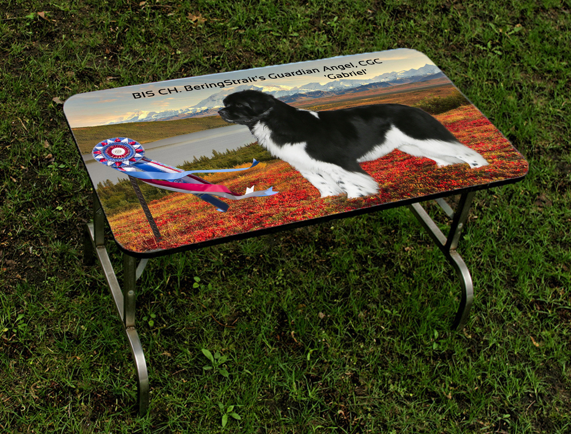 GROOMING TABLE TOPS Klinefelter's Gallery