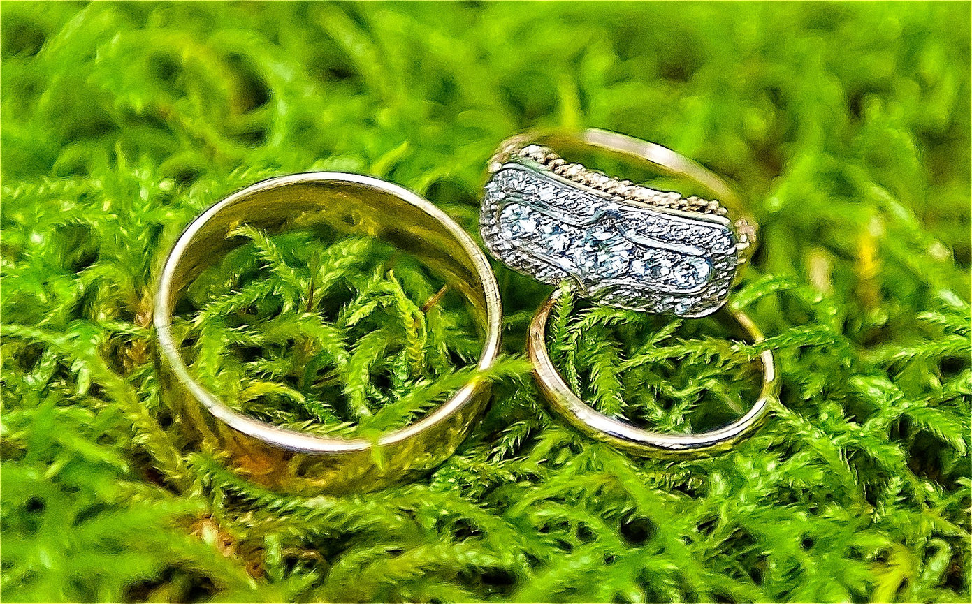 Close-up of two wedding rings resting on vibrant green moss, with one plain gold band and one ornate diamond-studded ring featuring intricate detailing and milgrain edges