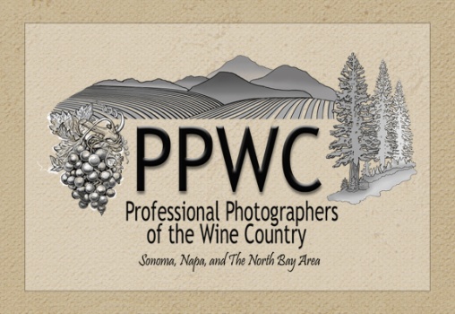 Professional Photography of the Wine Country Logo