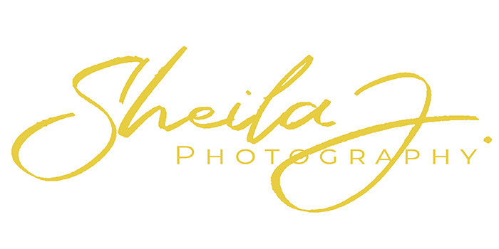 White Dove Photography Logo