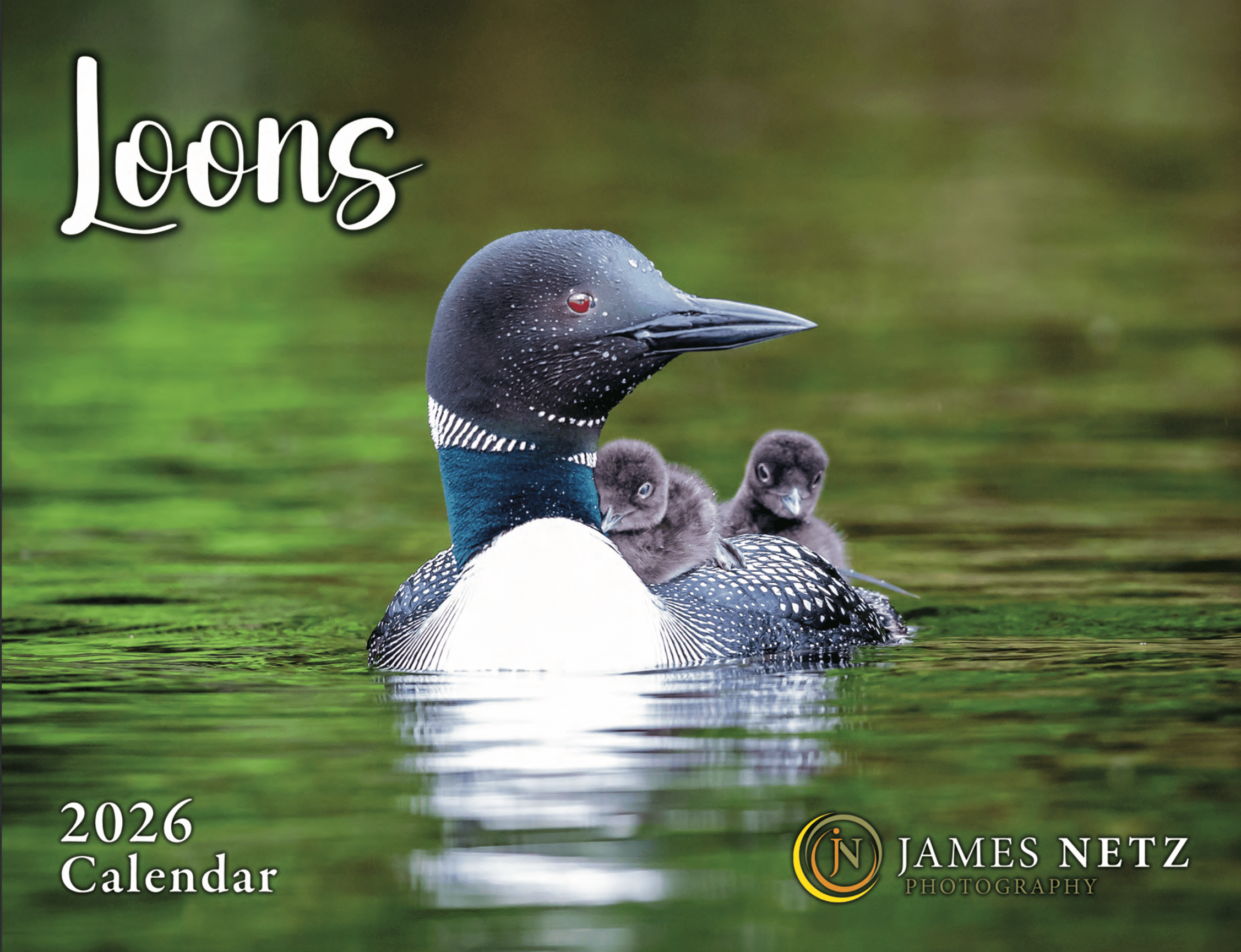 2026 Loon Calendar James Netz Photography 34 7601080 Xlarge 