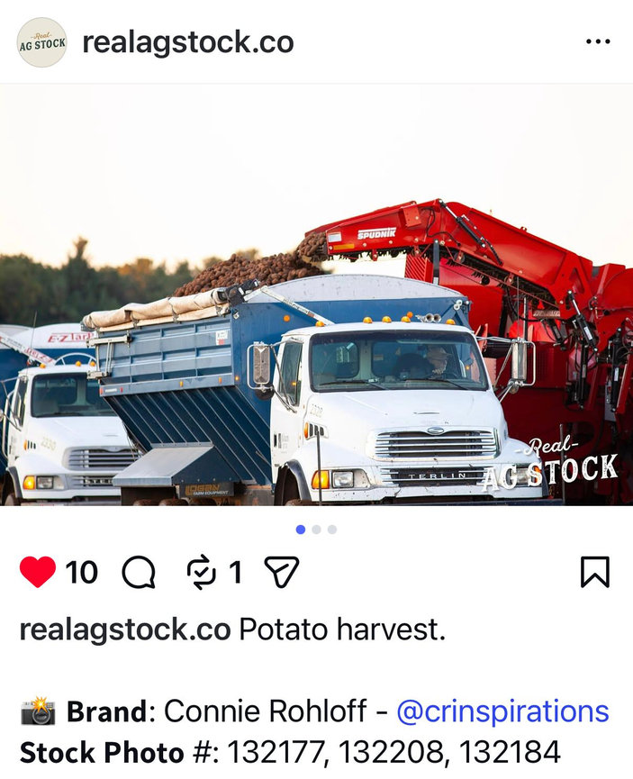 POTATIO