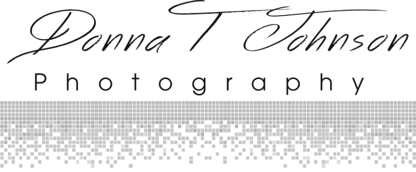 Donna T. Johnson Photography Logo