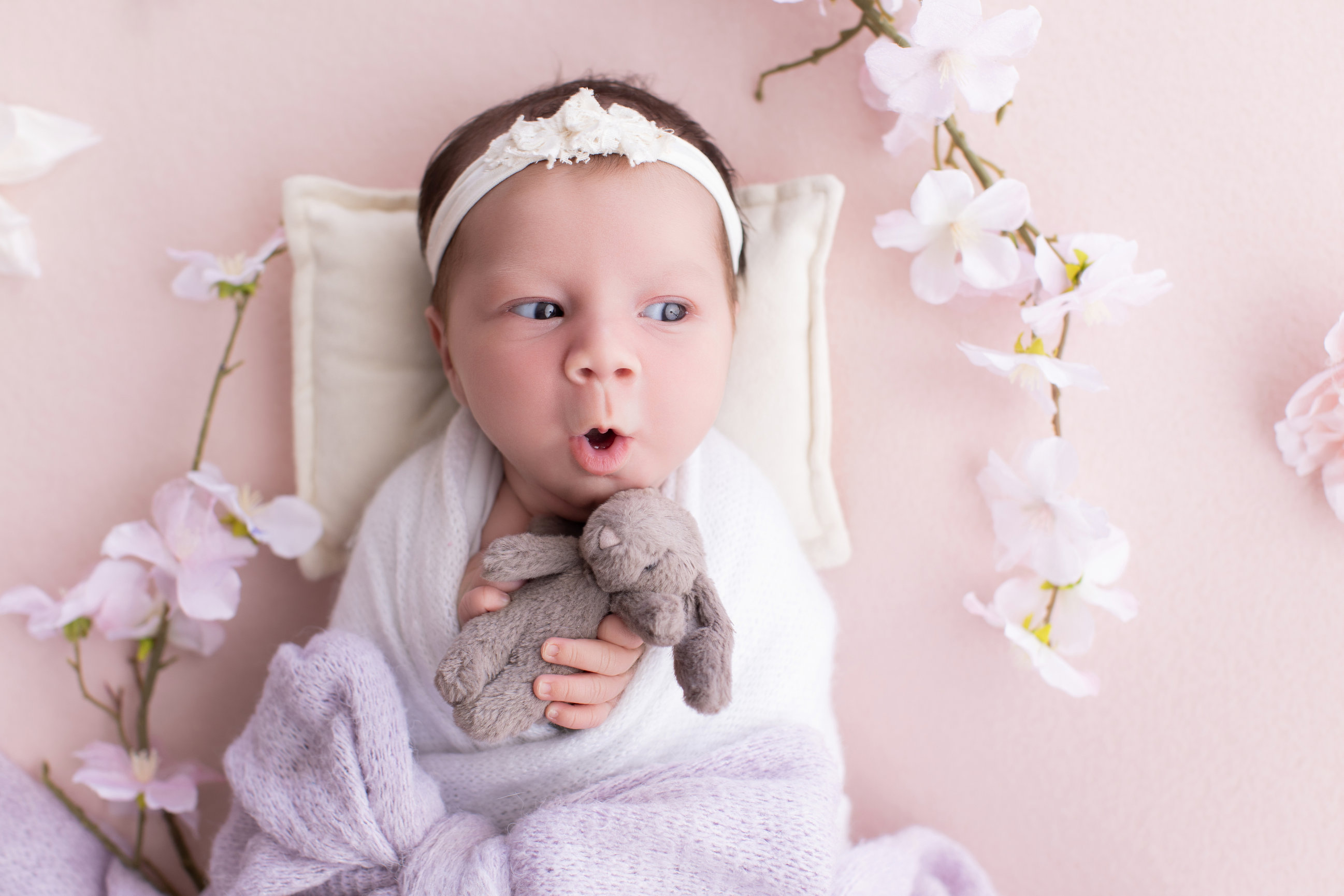 Calgary newborn photography blush pink lilac and cherry blossoms Newborn I session photo 4