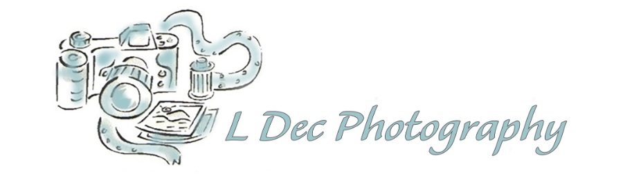 L. Dec Photographic Design Logo