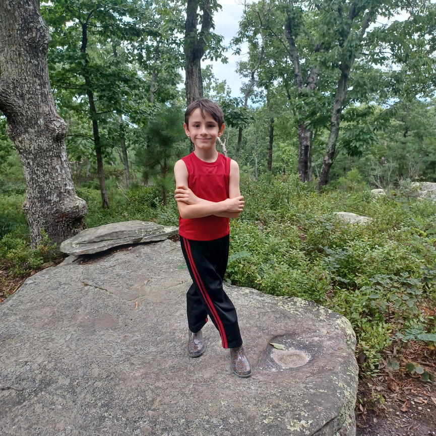 Boy in red shirt standing on a large rock in the forest