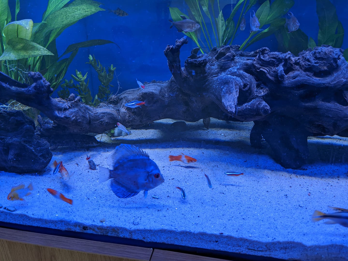 Glasgow Baby Scan Clinic