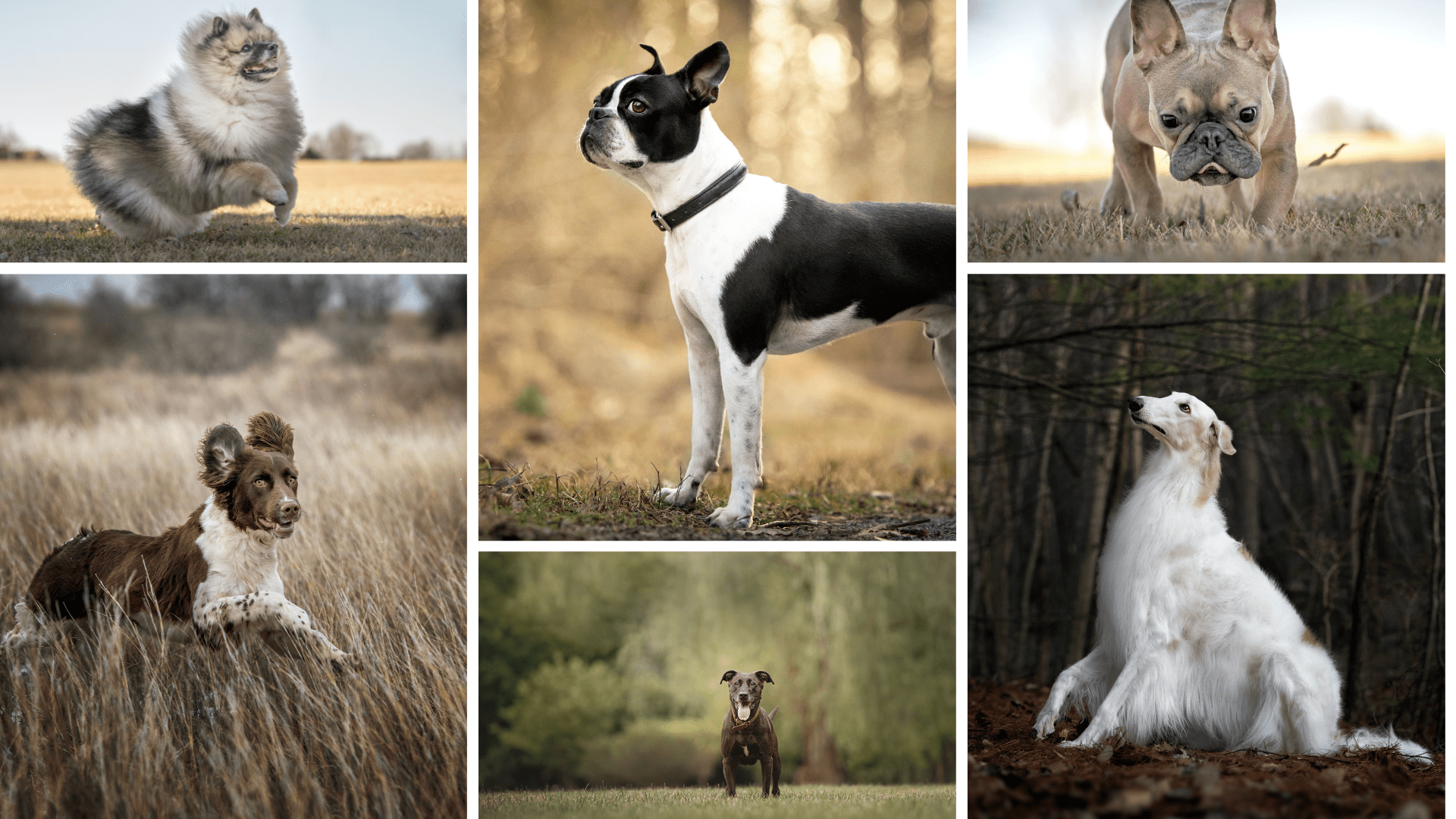 Is Rough Coat Photography the Right Fit? / 5 Reasons YES & NO Rough